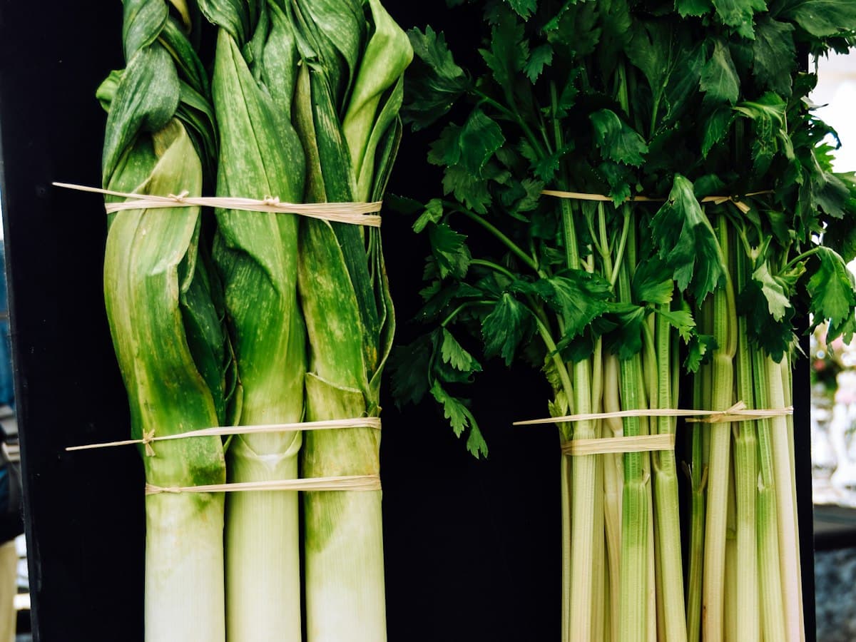 Bunches of leeks and celery tied for delivery.